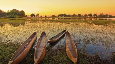 Luxury Okavango Delta SafariImage