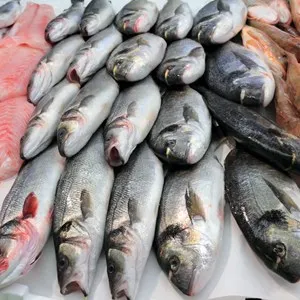 Fish Market