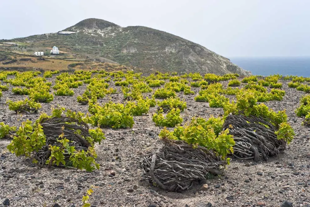 Jewels of the Greek Islands