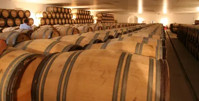 Bordeaux France Wine Country EscapadeImage
