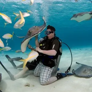 Stingray City