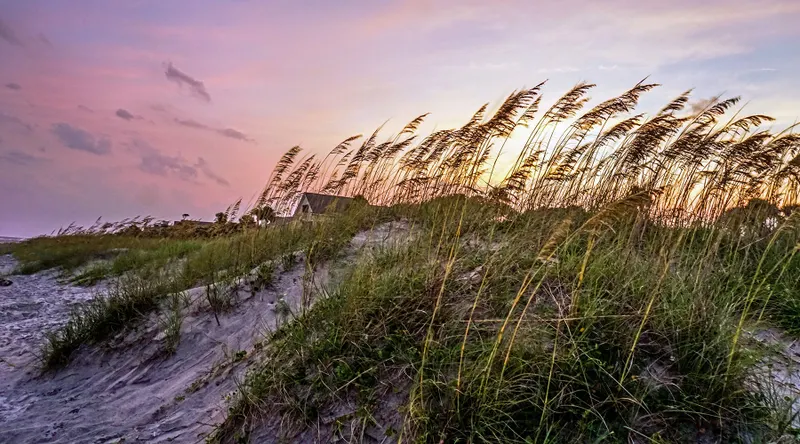 Hilton Head