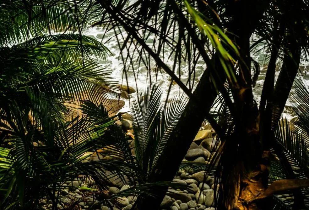 Costa Rica Pacific Coast Wellness Journey