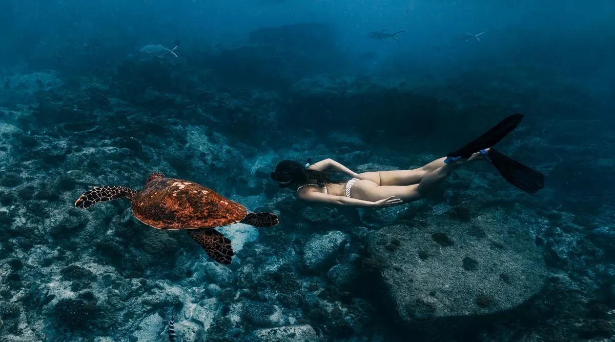 Seychelles Outer Islands Expedition