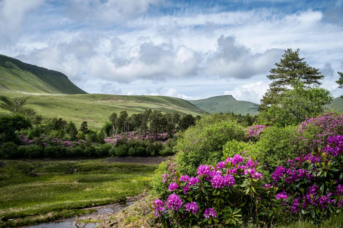 Castles of Wales Private Journey