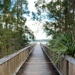 Moss Park Road, Orlando, FL, USA