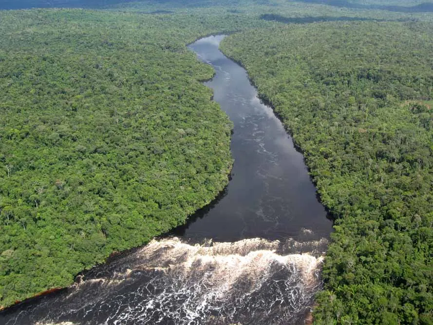 Manaus