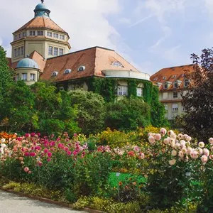 Botanical Garden (Palmengarten)