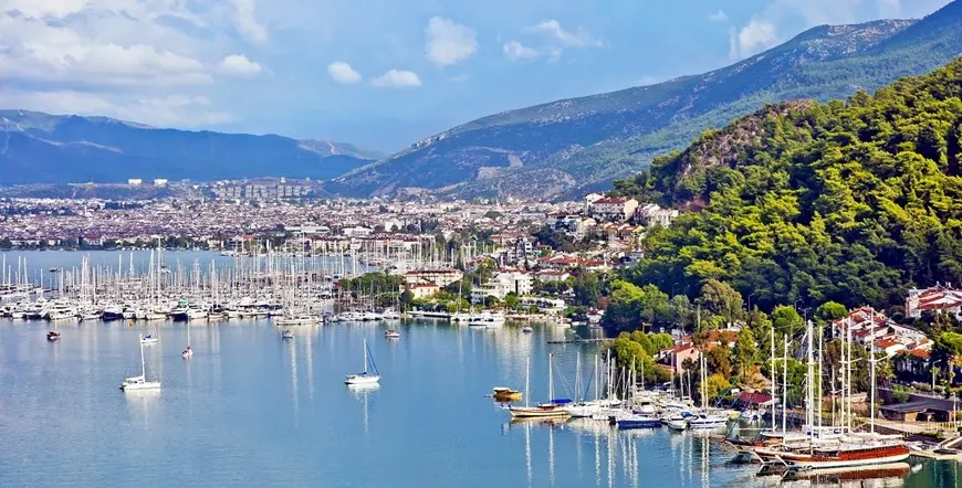 Turkish Odyssey