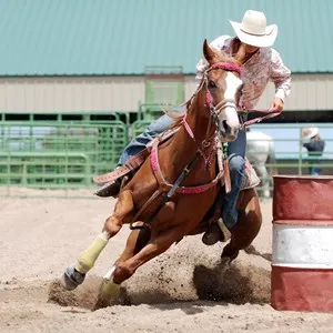 Calgary Stampede (July)