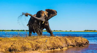 Linyanti Luxury Safari