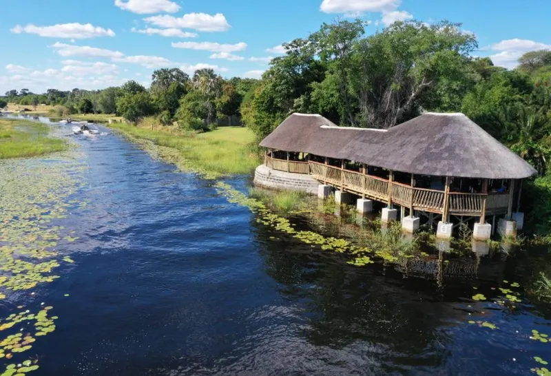 Maun