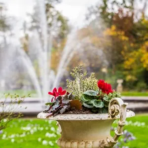 Flora and Botanical Garden