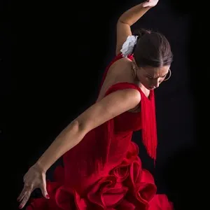 Flamenco