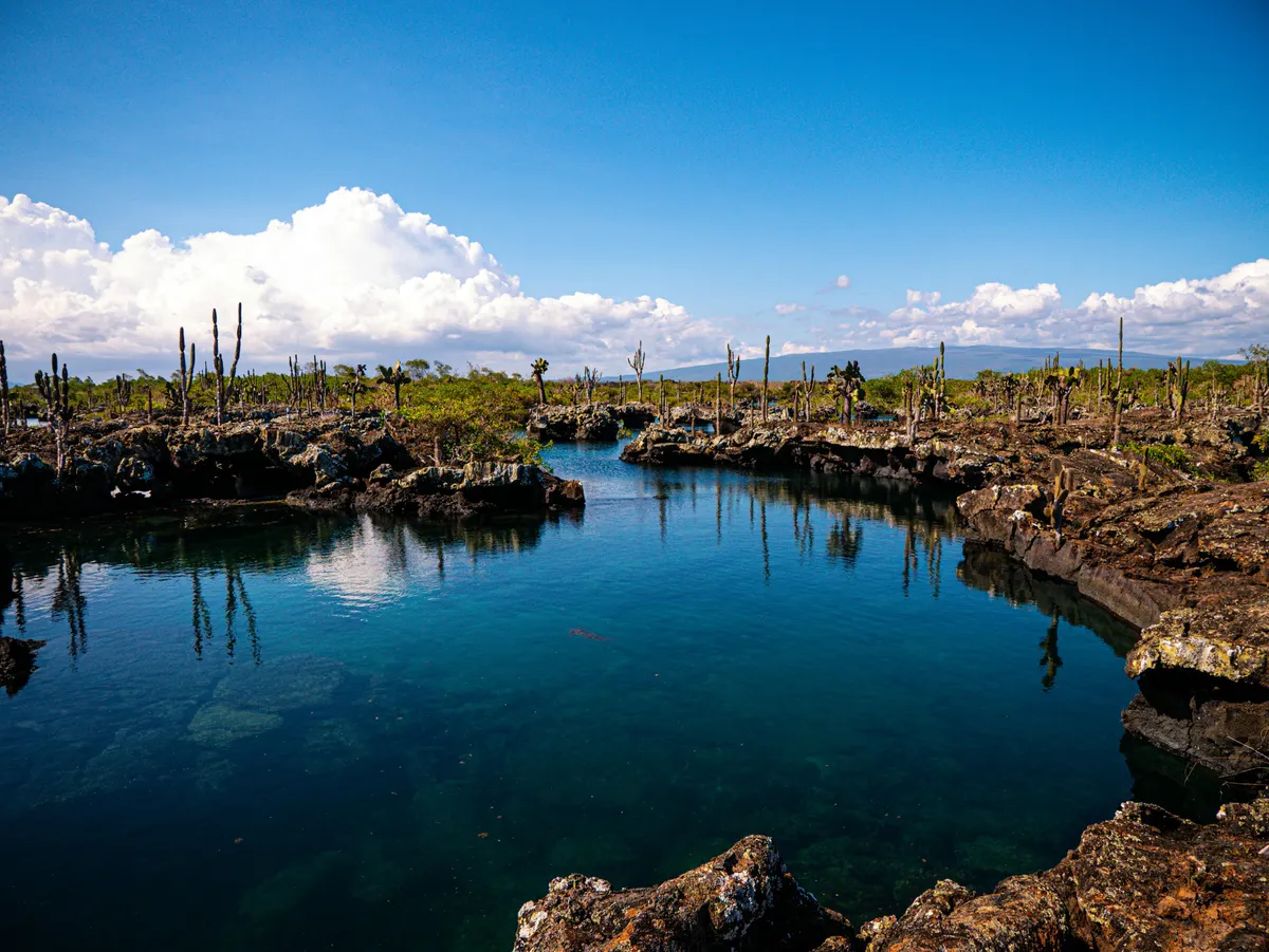 Peru Machu Picchu and Galapagos Islands Explorer