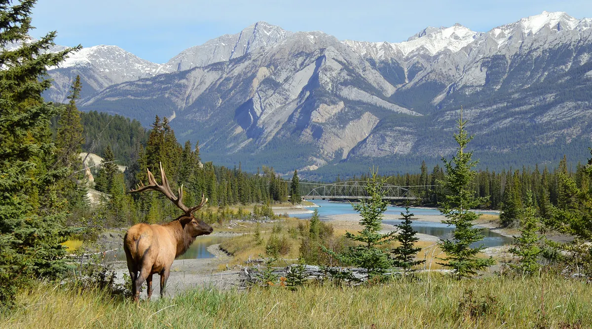 Calgary to Edmonton Rockies Explorer Self Drive Discovery