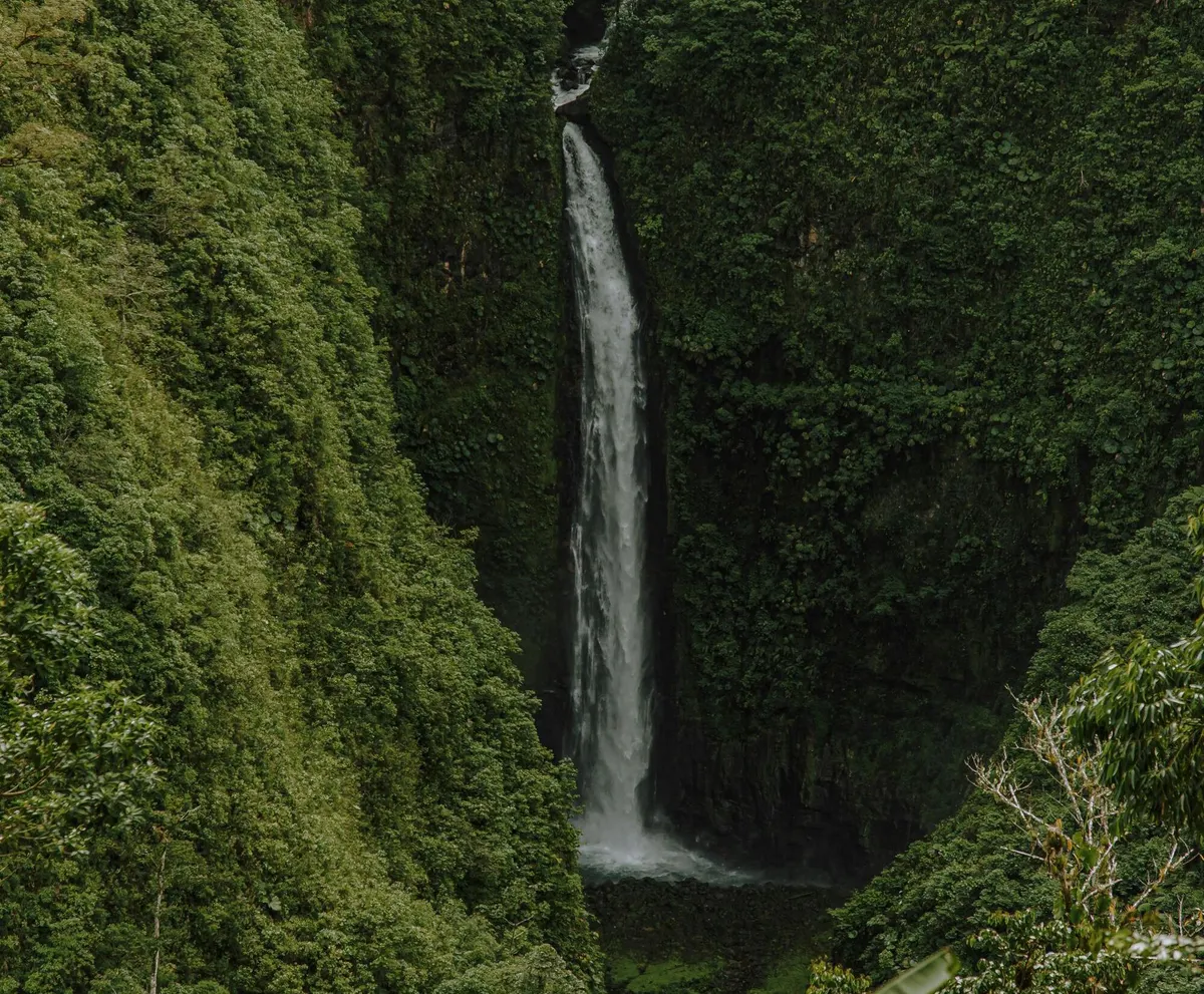 Costa Ricas Hidden Gems: A Self-Drive Journey thorough Nature