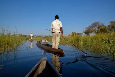 Okavango Delta Safari