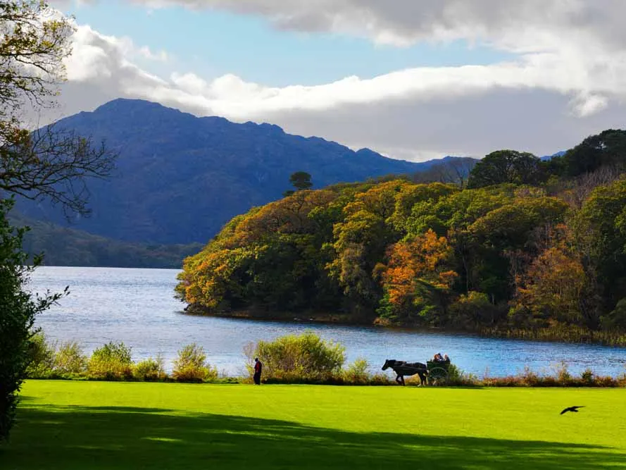 Ultimate Ireland Circle Private Journey