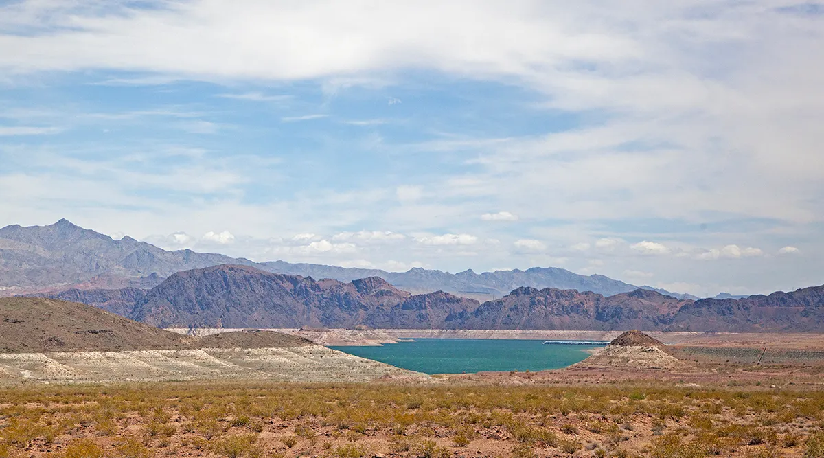 Coastal Palms to Desert Springs