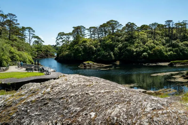 Private Journey to the Gardens of Ireland in Autumn