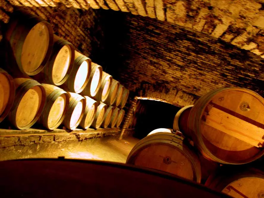 Santiago Wine Route Private Journey
