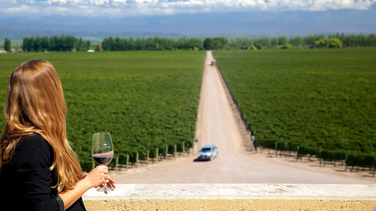 Andean Wine and Culinary Explorer