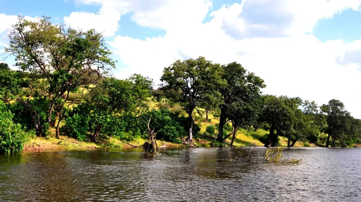 Unforgettable Botswana