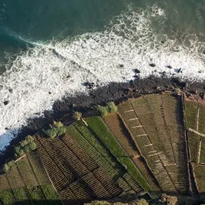 Cape Girão (Cabo Girão)
