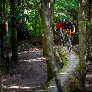 Blue Derby Mountain Bike Trail