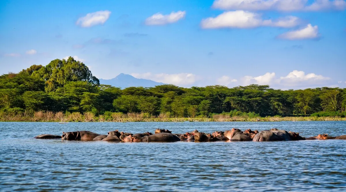Classic East Africa
