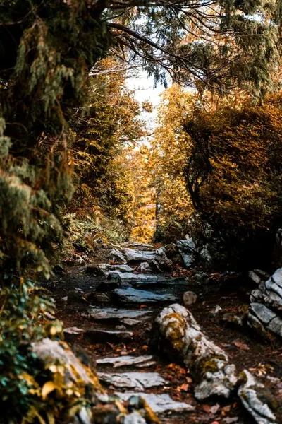 Private Journey to the Gardens of Ireland in Autumn