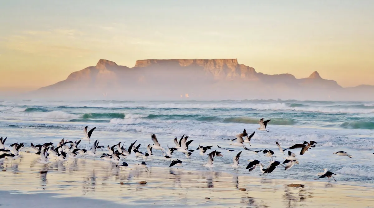 Luxury Cape Town and Winelands