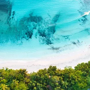 Beaches