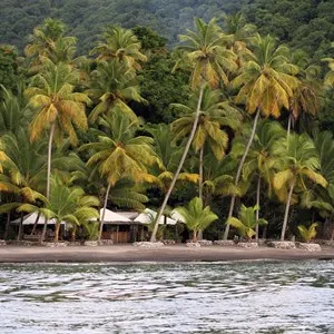 st. lucia beach