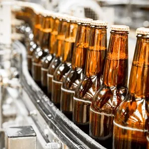 Beer bottles on the conveyor belt