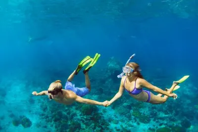 Bahamas DiscoveryImage