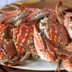 Cua Vang Restaurant (Ha Long City)