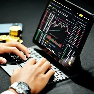 Amsterdam Exchange Experience