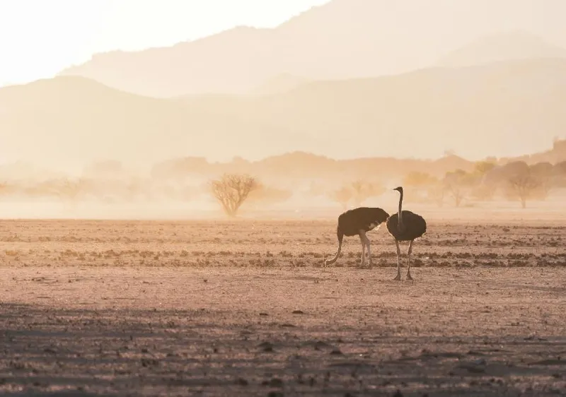 Damaraland