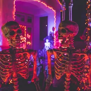 Haunt Mackay
