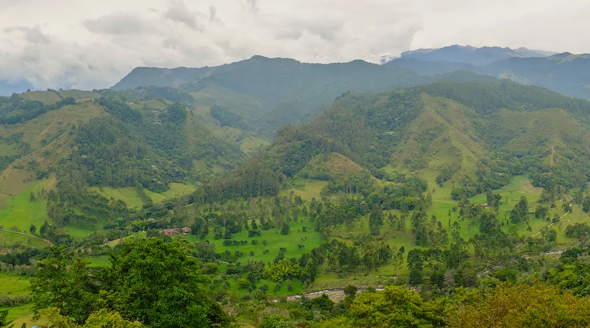Colombia's Coffee Culture Private Journey