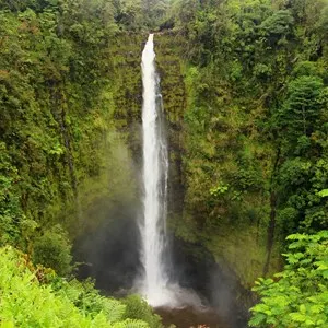 Akaka Falls State Park