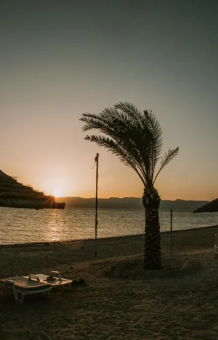 Best of Jordan Adventure