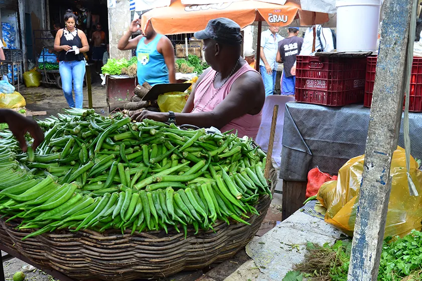 Private Cultural Journey through Brazil