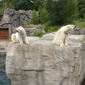 Hannover Adventure Zoo
