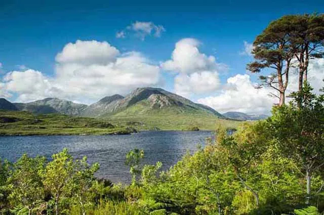 Ultimate Ireland Circle Private Journey