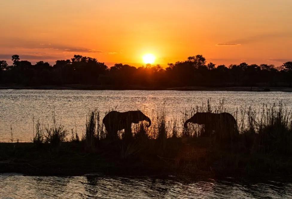 Great Rovos Rail Journey from Victoria Falls to the Cape