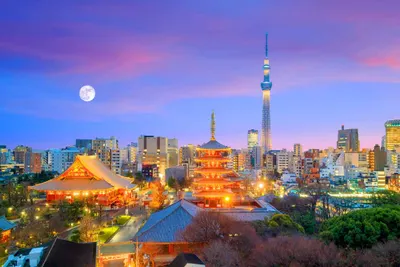 Tokyo Pre Or Post Cruise
