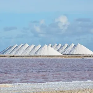 Salt Pyramids